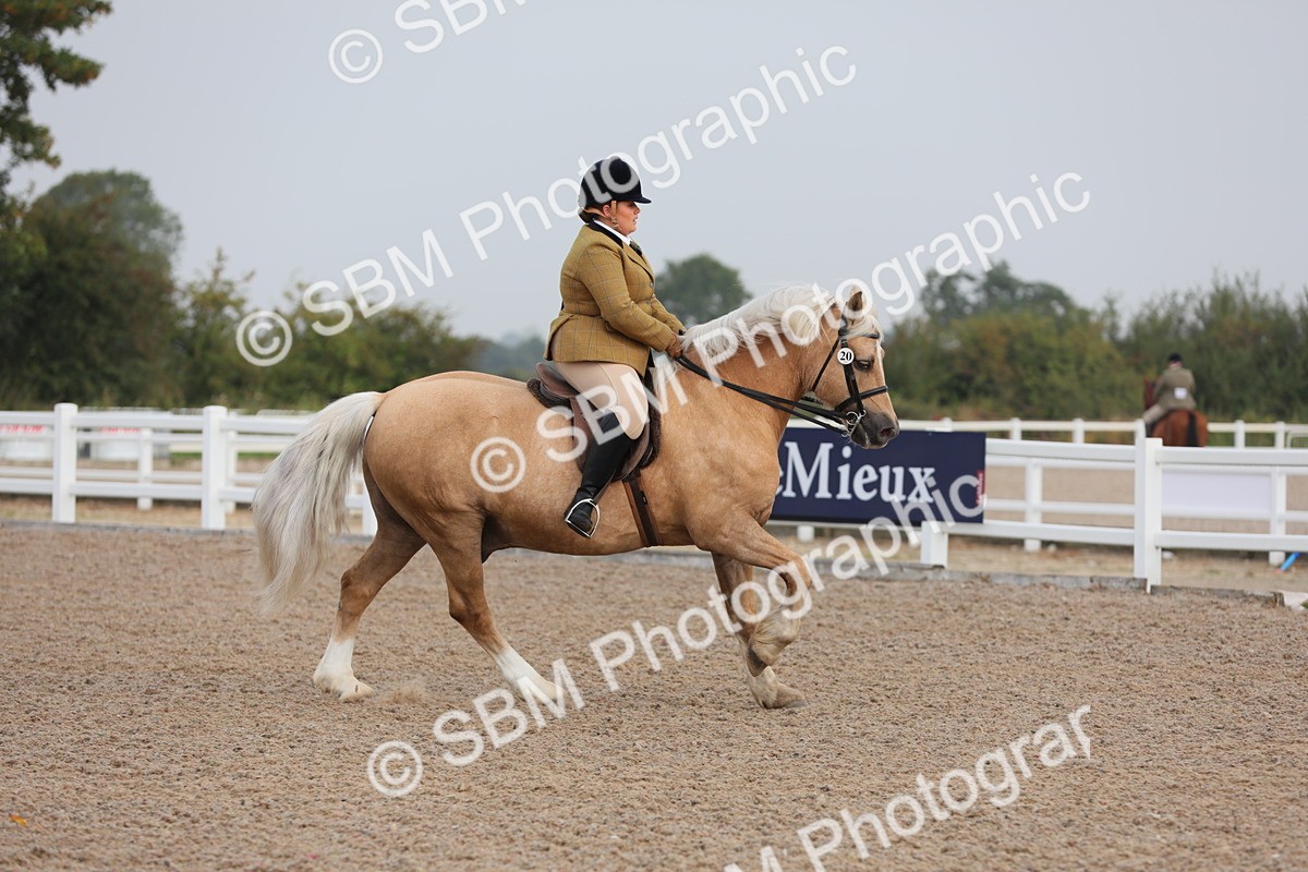 SBM_10011 - Class 302 Ridden M&M -Large Breeds