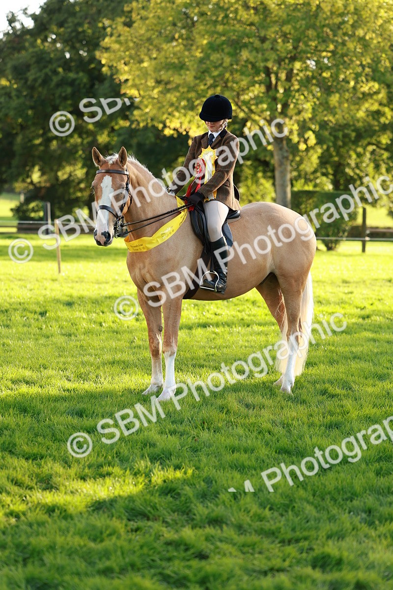 SBM_29323 - Novice & newcomer Supreme Championship