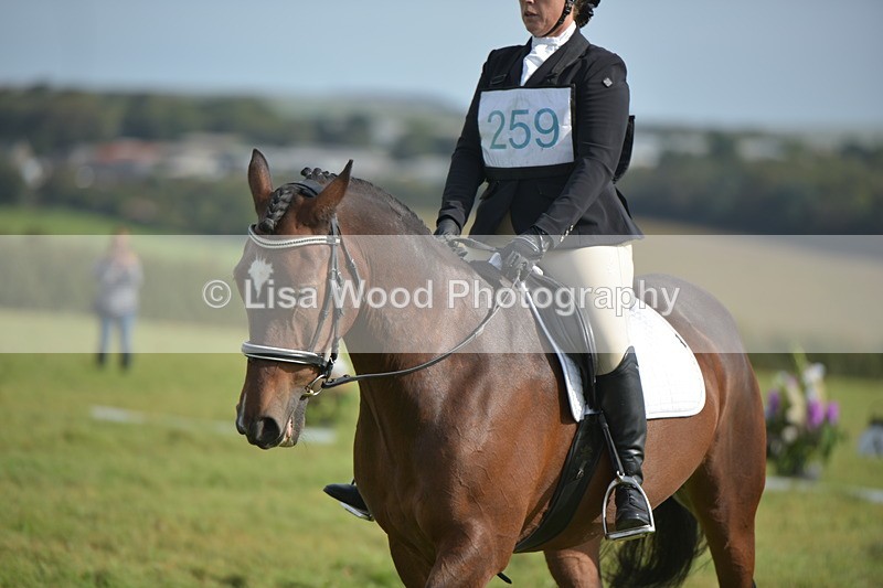 RAY_7748 - Class 2B: Trekenning Open: Dressage