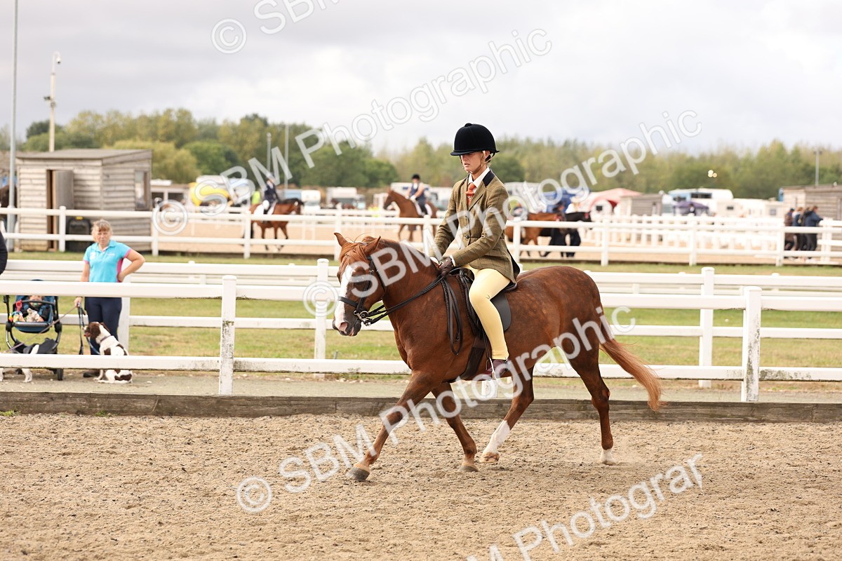 SBM_01594 - Class 52 - Ridden Veteran