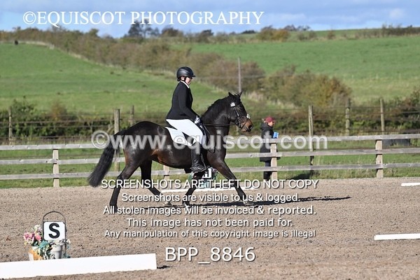 BPP_8846 - LONG ARENA