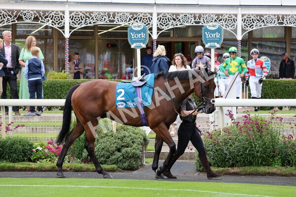 yr22072022r1-1 - Race 1 5.20pm John Wright Electrical Handicap Apprentice Stakes