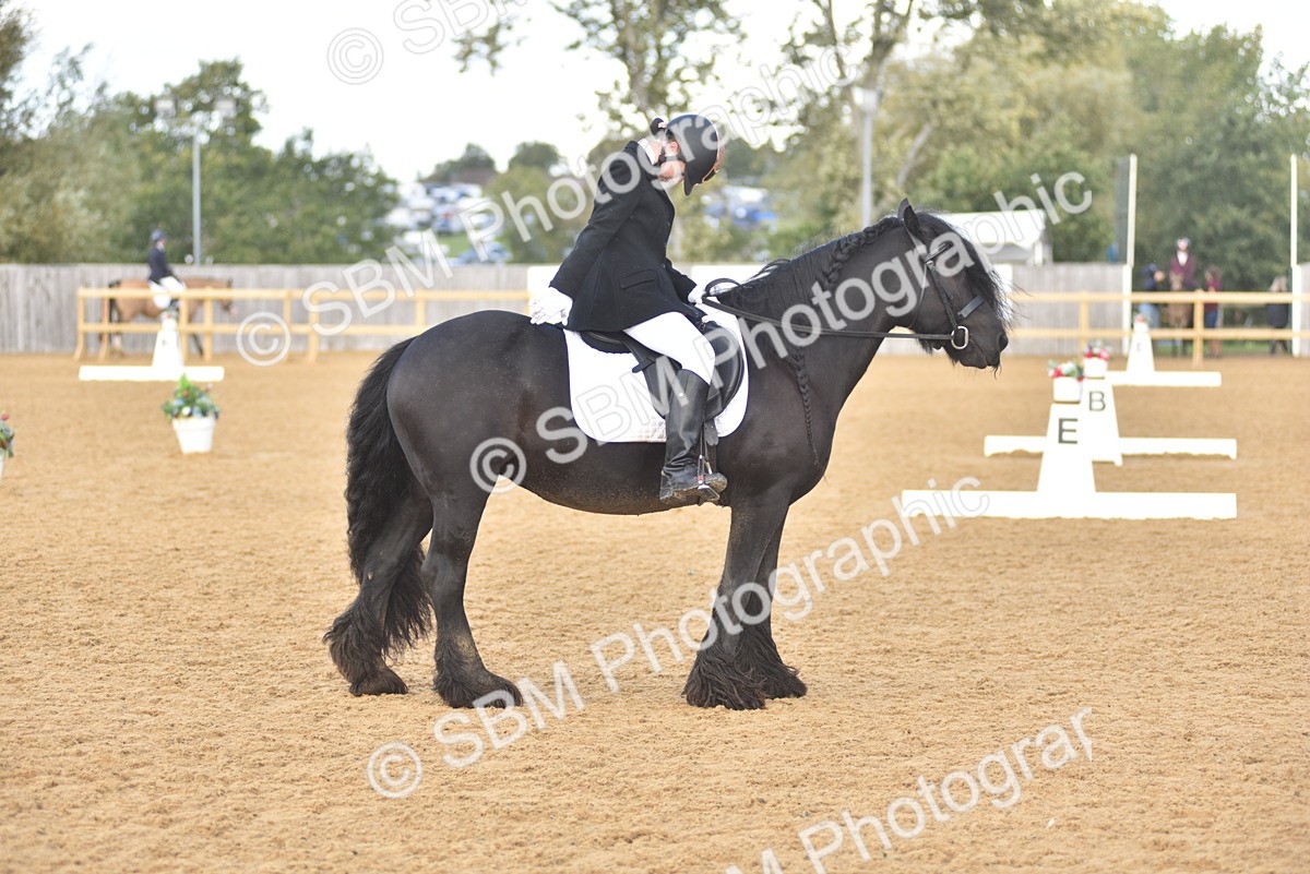 SBM_48805 - D22 - Junior Championship Intro 3
