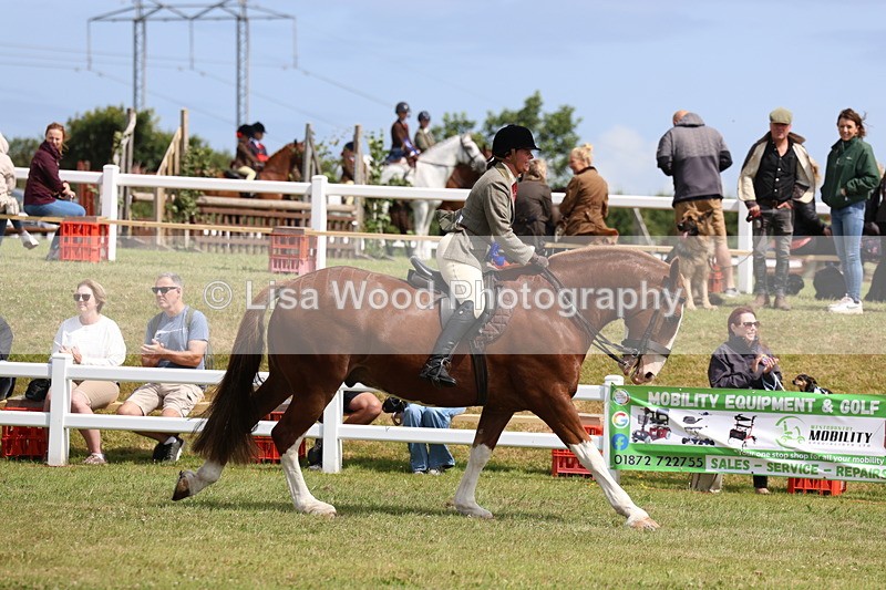 3E7A0440 - Class 6: Rising Star Maxi Cobs