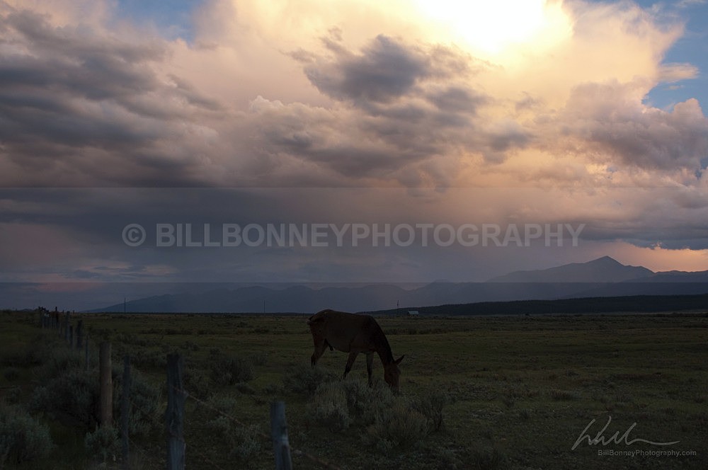 DSC_0057 - Colorado