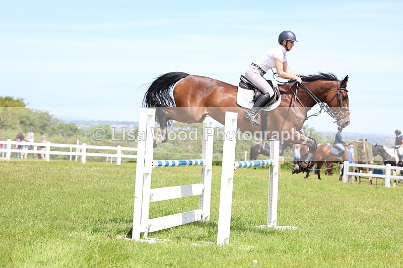 3E7A1346 - Class 12: Senior Foxhunter/1.20 open