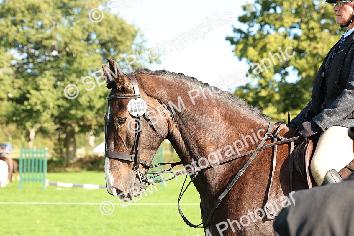 SBM_50142 - S34 - Novice & Newcomers Working Hunter