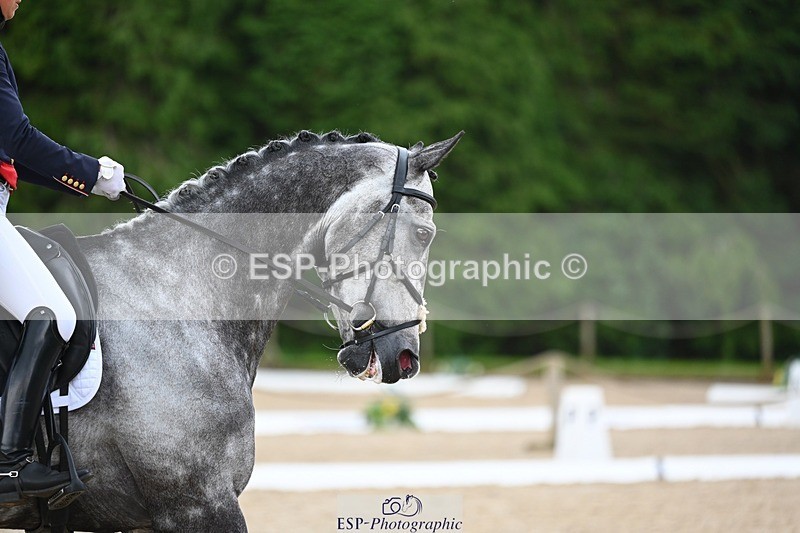 240524-141403-10171 - 529-SBH_BIG_WALL-Izzy_Taylor