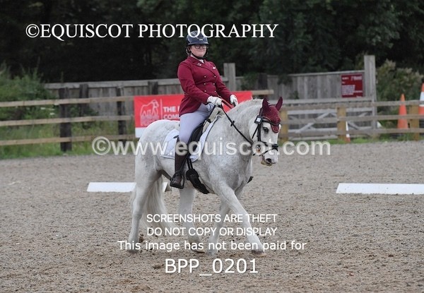 BPP_0201 - NOVICE 4 & 6