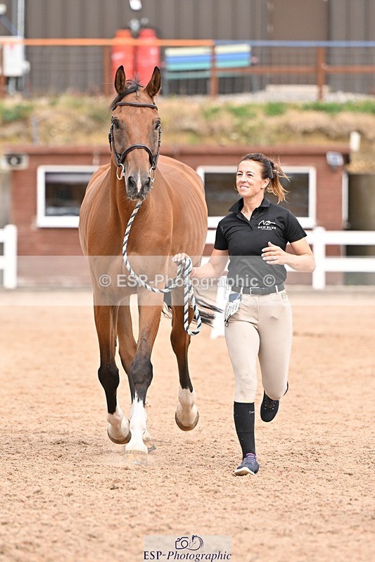 250716-154259-02149 - Trot Up 3.30 to 4.30