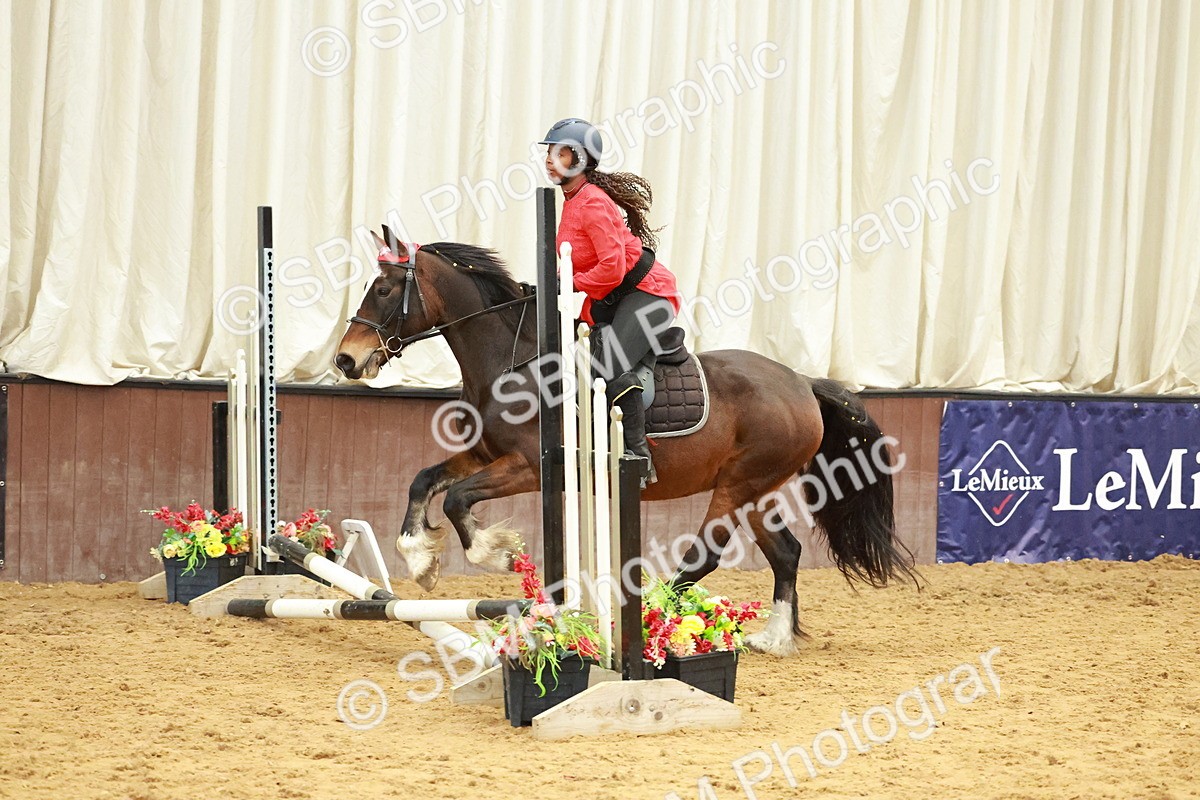 SBM_000595 - Class 2 - 50cm