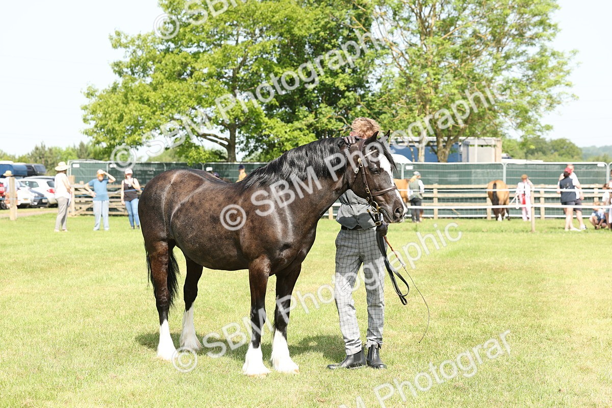 SBM_02297 - Class 6-13 - Mountatin and Moorland In Hand Welsh Breeds