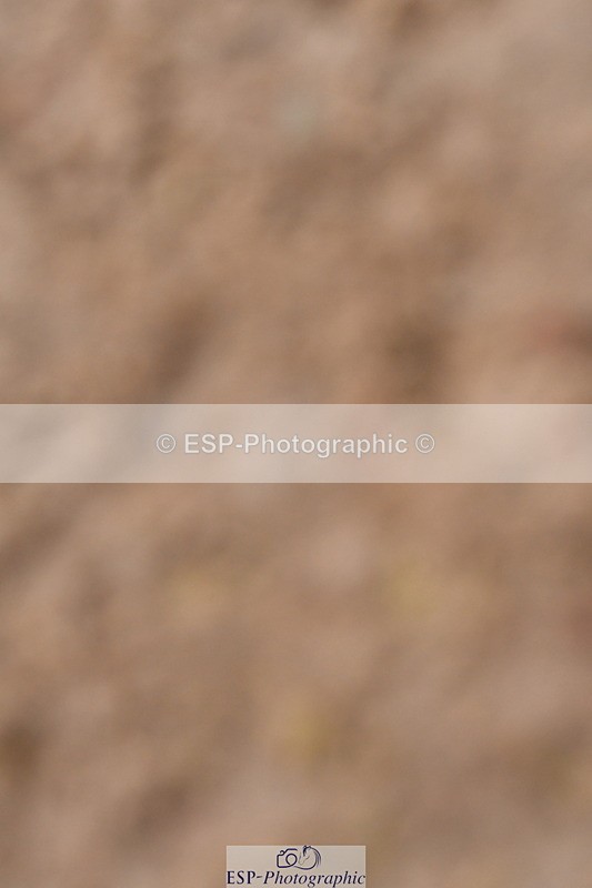 240121A-105851-00518 - Cls 5 Novice 37A