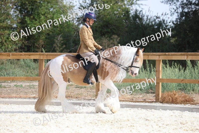 20260802-0395 - Class 6 - Veteran Ridden