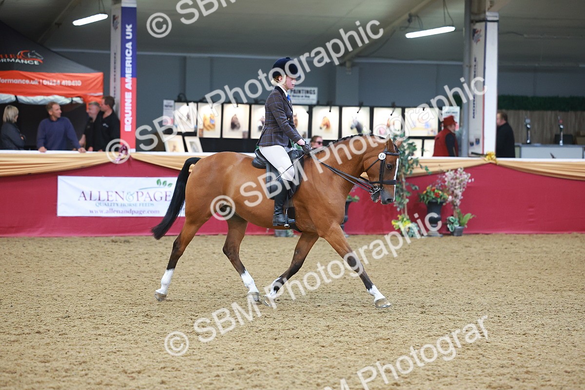 SBM_12542 - Class 103 - HOYS Veteran Qualifier - Ridden Pre Vet