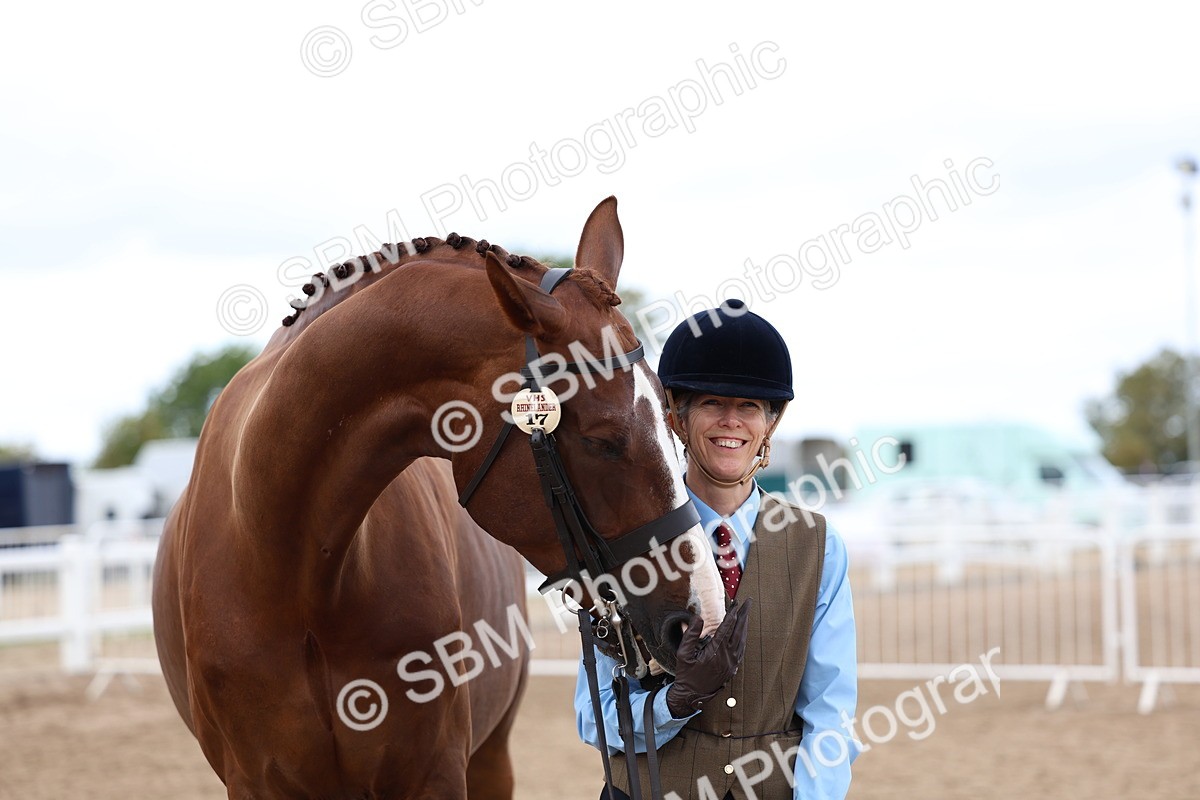 SBM_05090 - Class 27 - IH Competition Horse or Pony