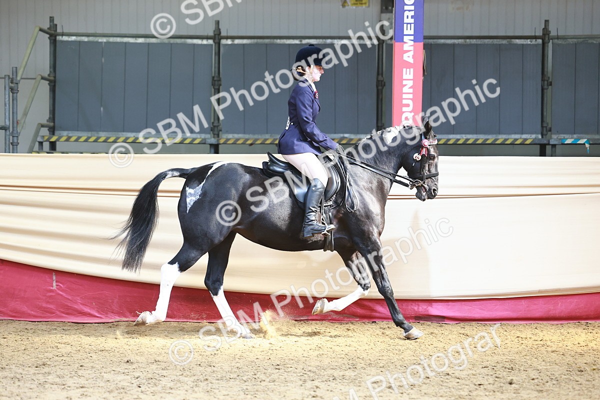SBM_23320 - class 906 - Supreme Final - Ridden Pre Vet