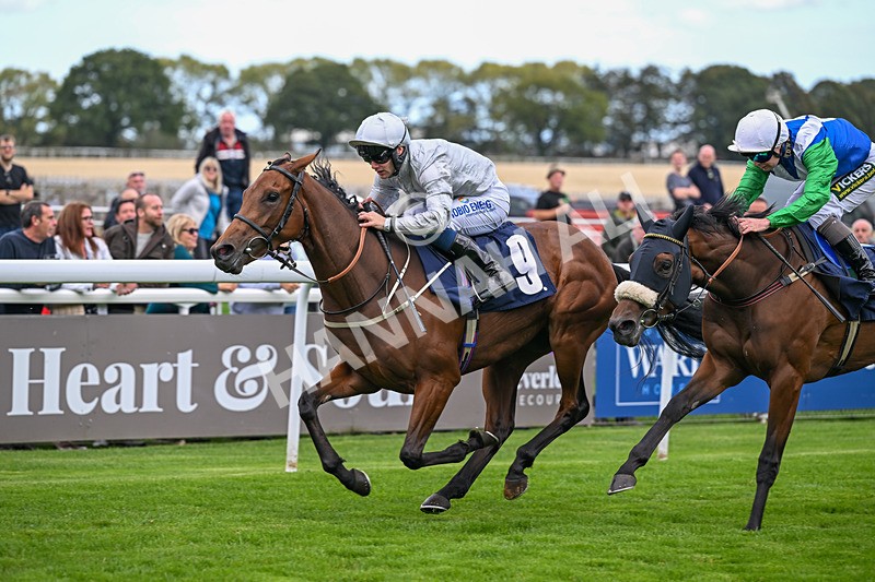 230925-Race 1-Mariotto-9698 - Race 1