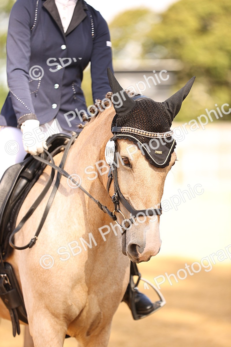 SBM_02592 - D1 - Small Tour Championship
