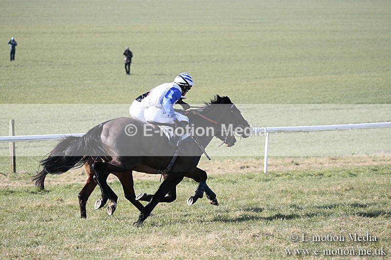 PtP 240218 81 - Vine & Craven Hunt Point-to-Point Barbury racecourse 24/02/18