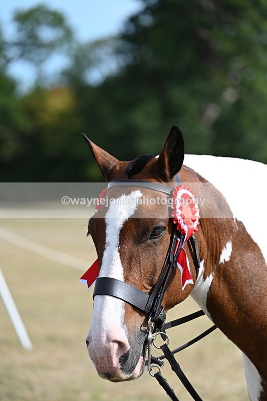 WJ7_7957 - George ...