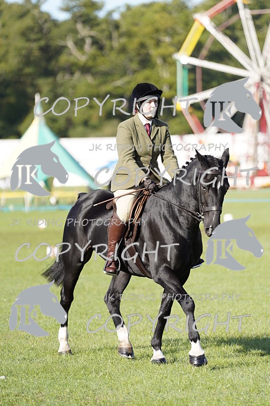 _DSC9450 - Class 8 & 17 Ridden Hunter & Ridden Hunter Pony