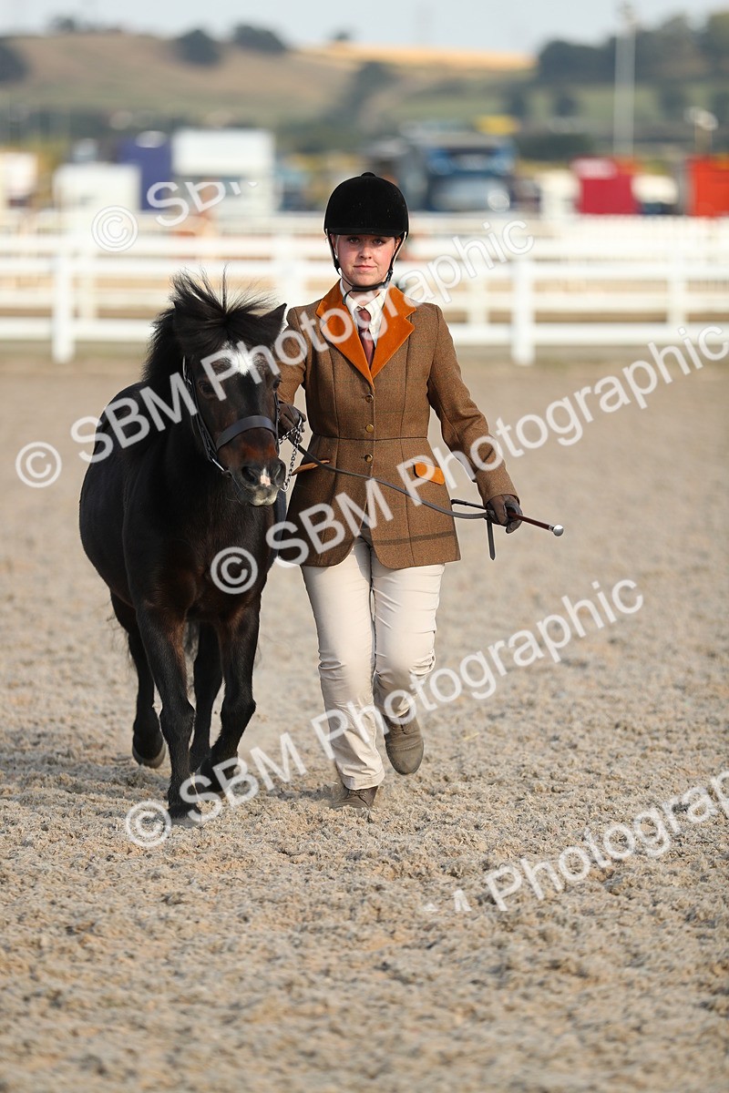 SBM_09036 - Class 29 IH Veteran Pony