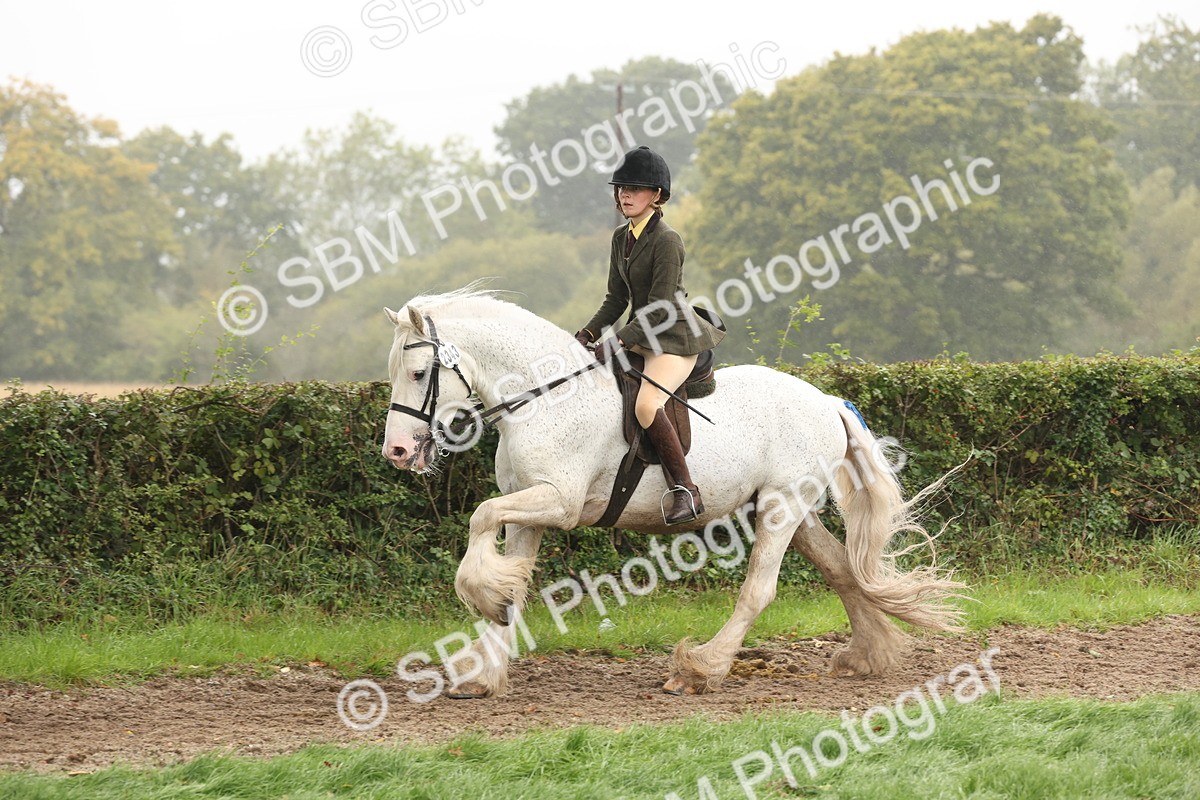 SBM_72723 - S70 - Traditional Cob Ridden