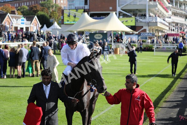 yr08102022r3-15 - Race 3 2.40pm The Coral 'Beaten-by-a-Length' Free Bet Handicap