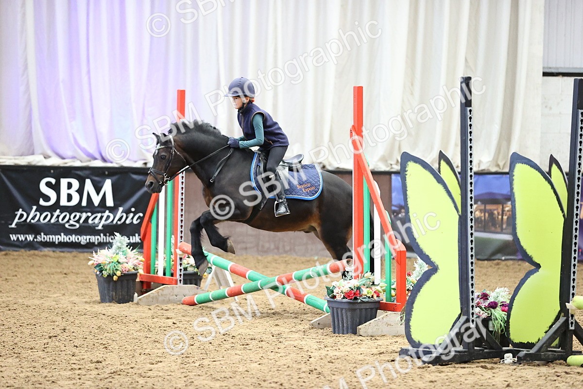 SBM_009202 - 50cm