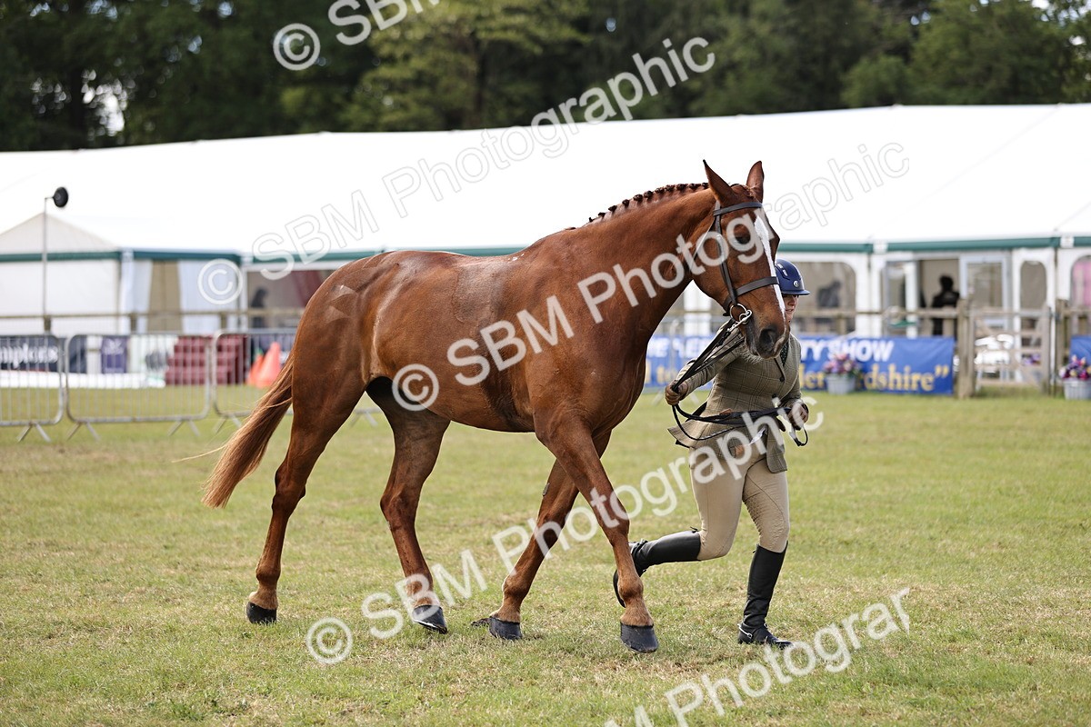 SBM_14752 - Class 88-89 - LIHS BSHA Rising Star of Ridden Hunter Type
