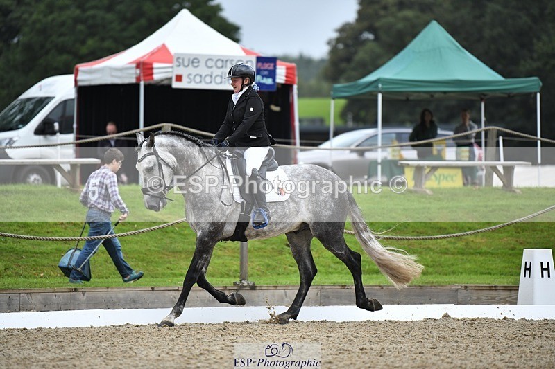 230812-101215-02909 - Cls 6 Novice Silver Start to 10.20 break