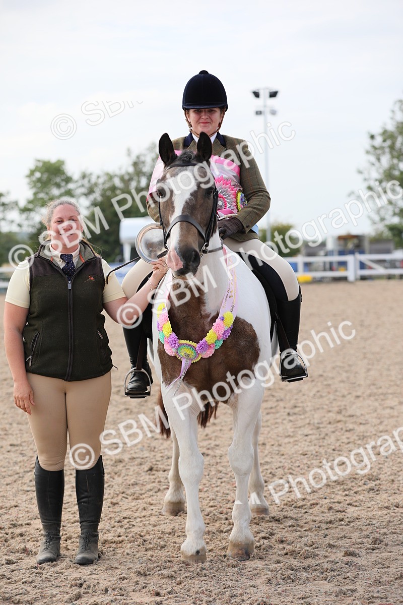 SBM_17035 - Class 314 Family Horse/Pony