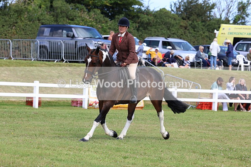 3E7A9971 - Class 5: Rising Star Lightweight/Heavyweight Cobs