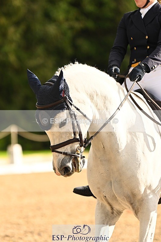 231021-152735-20855 - 258-NOBBER.TADA-Olivia.Mathieson-DR