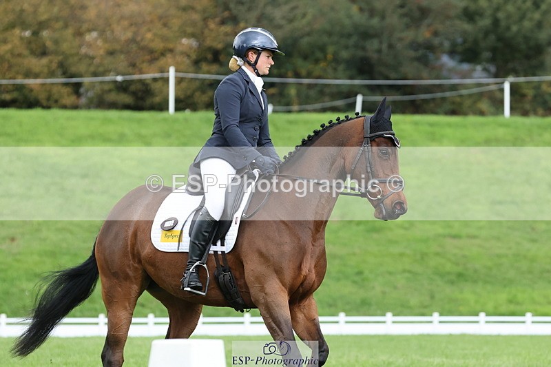 251023A-115146-03433 - E-384-Holly.Horton