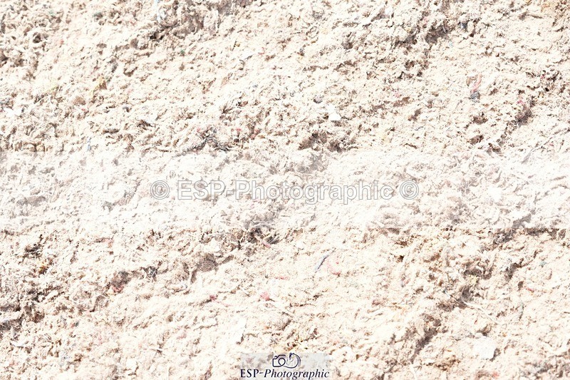 250815-133857-01204 - 1.30pm Presentations