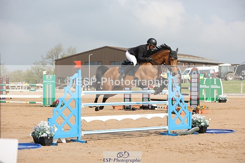 250424-103025-03061 - Cls 33 Young Horse 7yr old