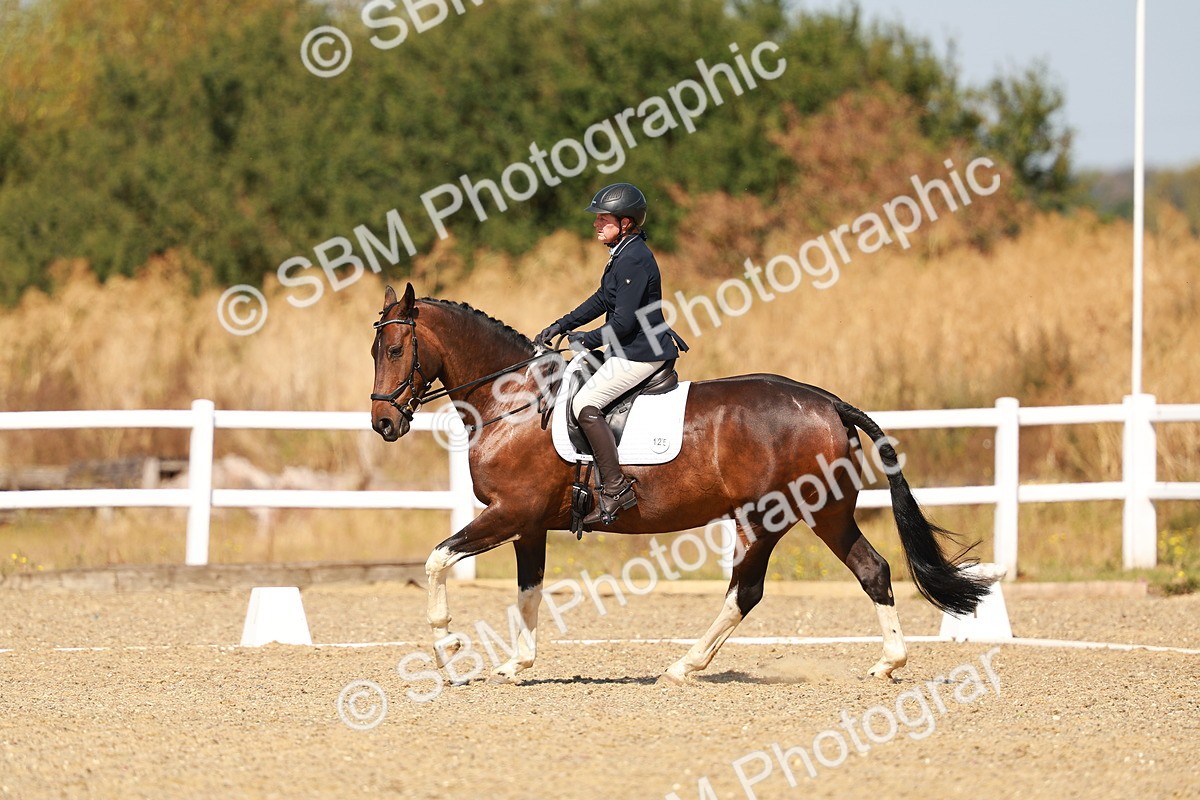 SBM_017913 - Class 9 - N5 Bronze 10.33.11.36