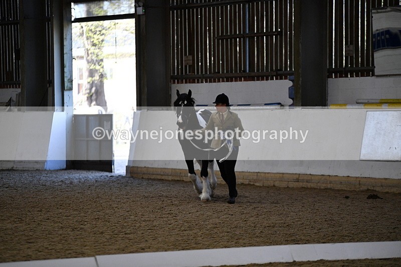 WJ5_3749 - Class 5 In Hand Veterans