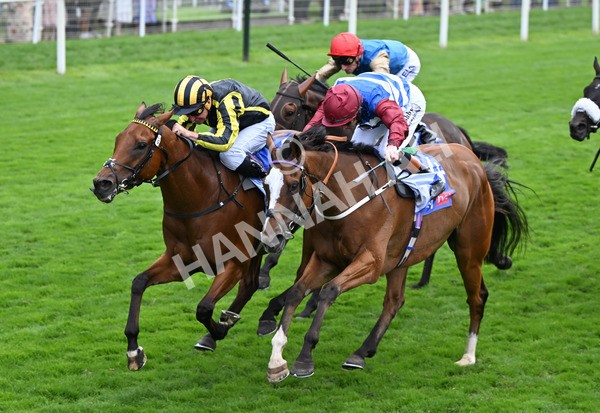 220825-015 Asgards Captain - Race 1 1.50pm Sky Bet Handicap