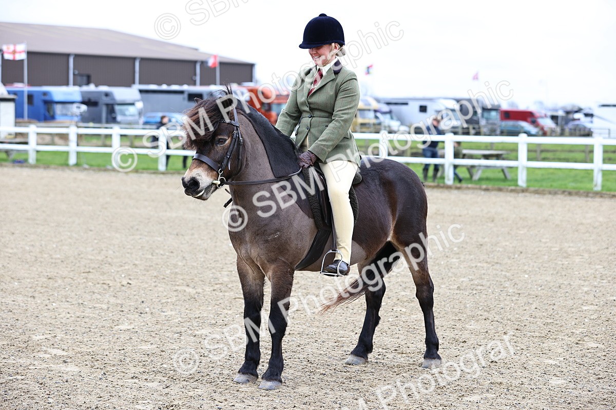 SBM_006801 - Class 29 - 30 - M&M Pure Novice Small-Large Breeds