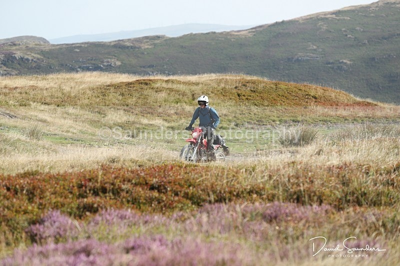 SPXX0049 - Trail bikes