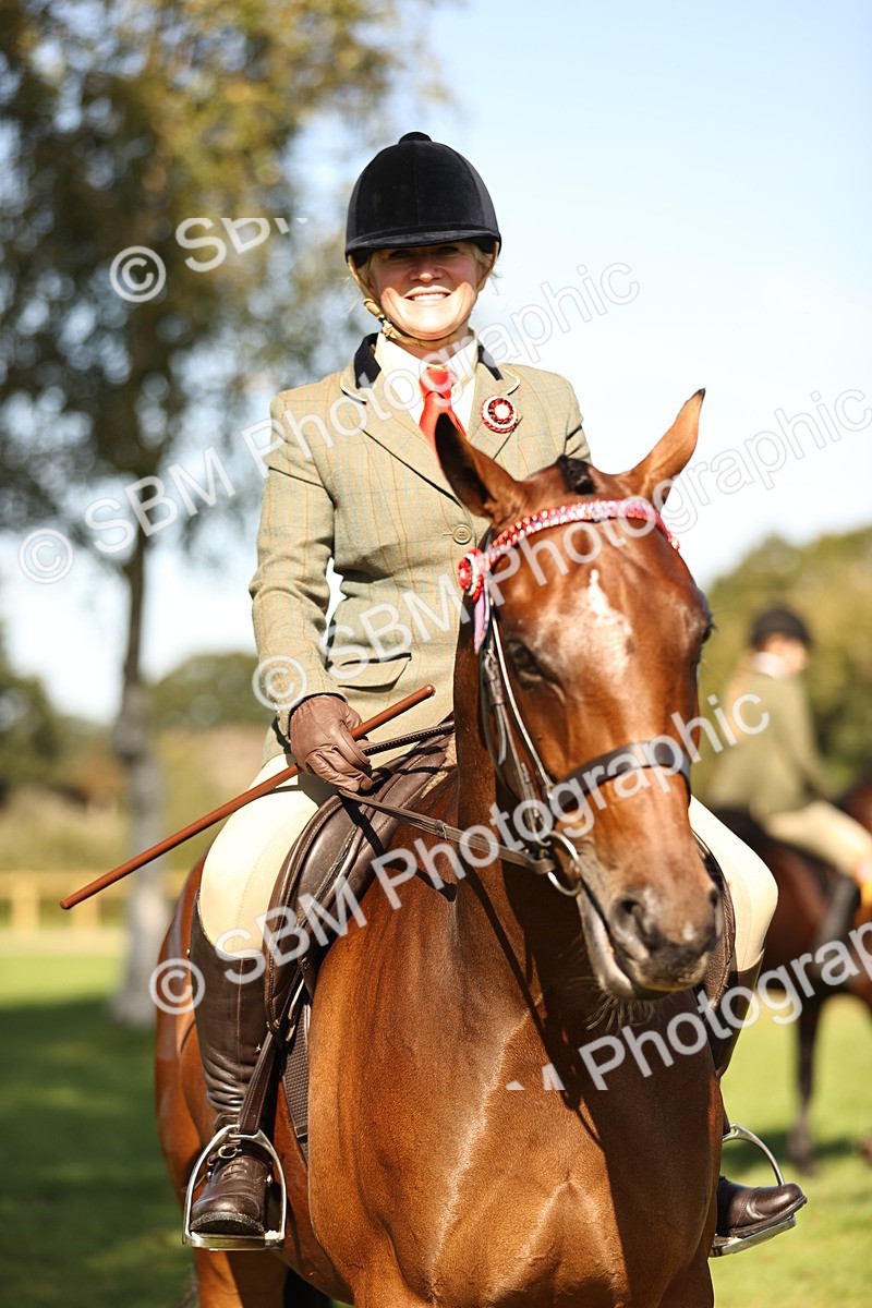 SBM_17026 - S2 - TSR Ridden Pony Showing