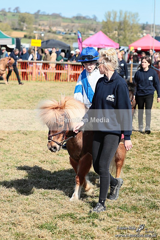 Shet 060426 123 - Shetland Pony Racing Paxford Races Easter Mon 06/04/26