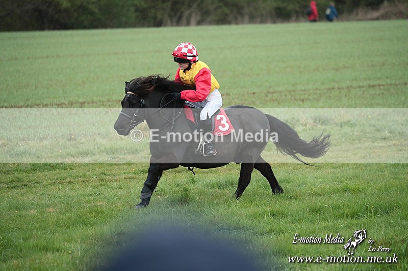 SHETPR 210425 124 - Shetland Ponies Paxford Races 21/04/25