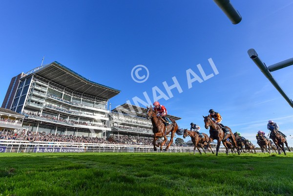 111025-Race 6-Berkshire Sundance-2188 - Race 6 Coral Racing Club Stayers Handicap at York
