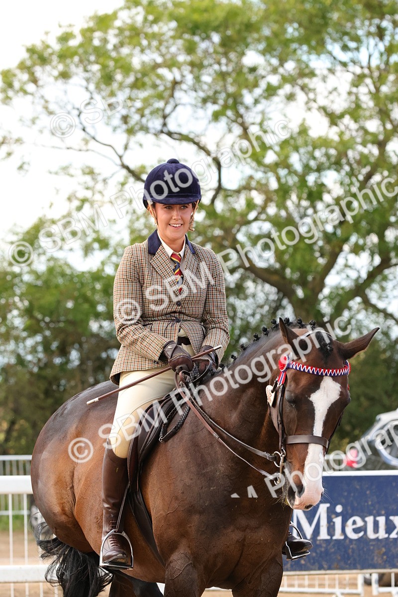 SBM_16274 - Class 217 - Ridden Retired Racehorse