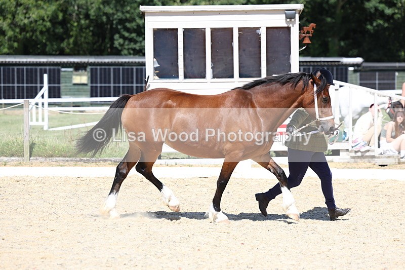 3E7A9547 - Class 32: Best Grass Kept