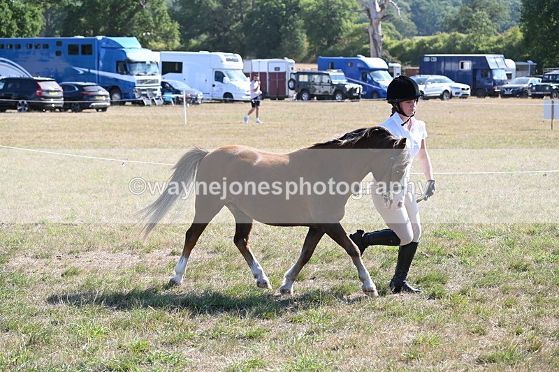 WJ6_7502 - Class 34 Judges Choice